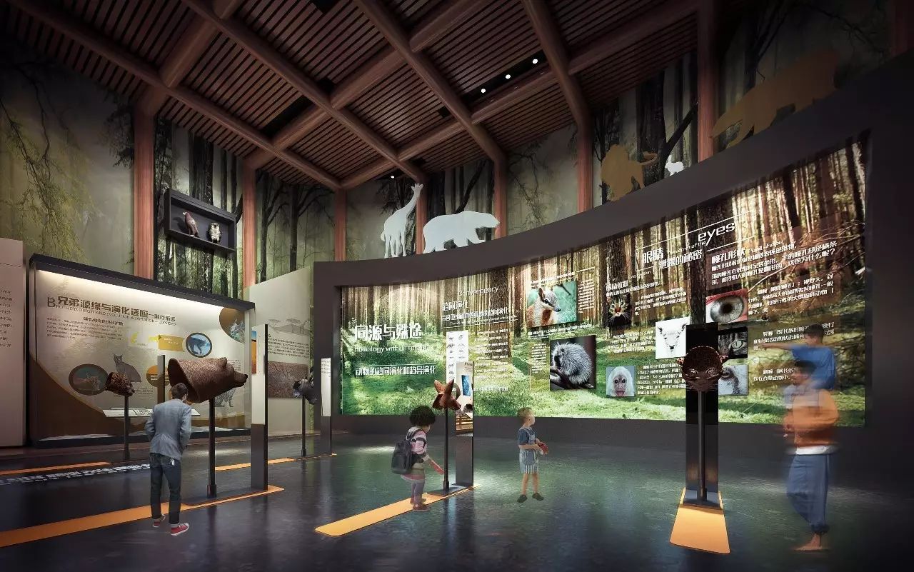 博物馆展厅设计 博物馆展厅设计