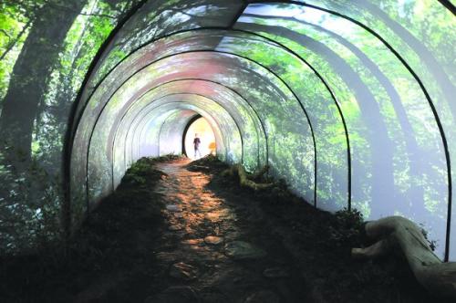 时光隧道 时光隧道