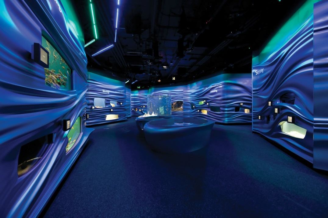 水族馆展厅设计分析 水族馆展厅设计分析